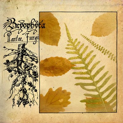 Bryophyta – Plantae, Fungi DigiSleeve